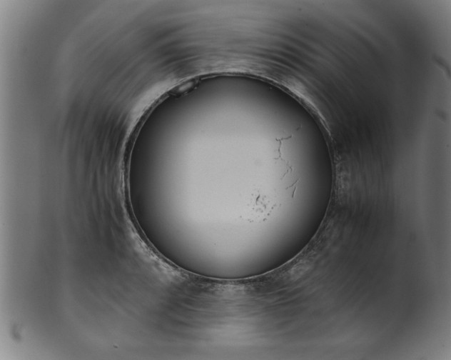 X0000099931088200806061448