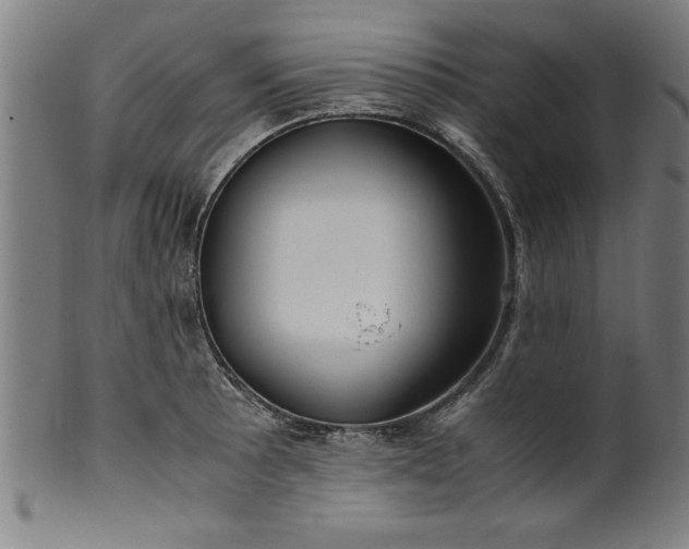 X0000099931089200806061448