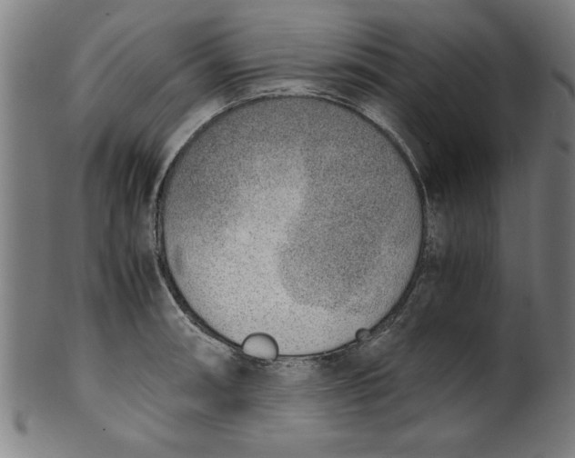 X0000099931090200806061448