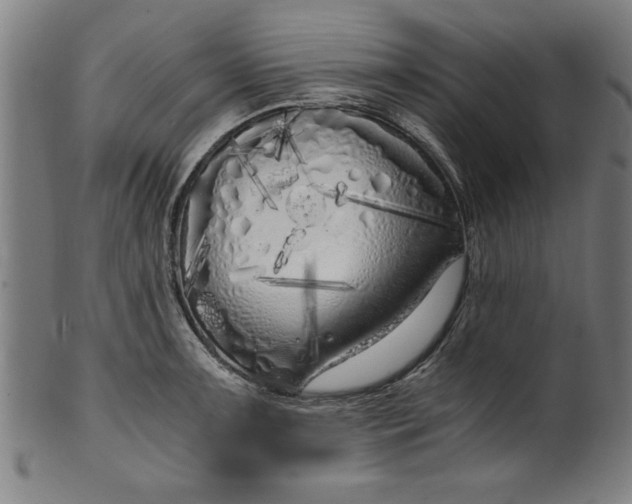 X0000099931091200806061448