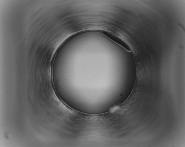 X0000099931092200806061448