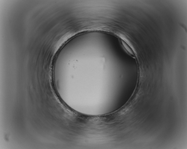 X0000099931093200806061448