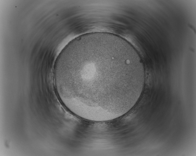 X0000099931094200806061448