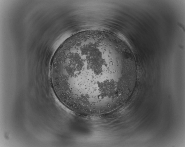 X0000099931095200806061448