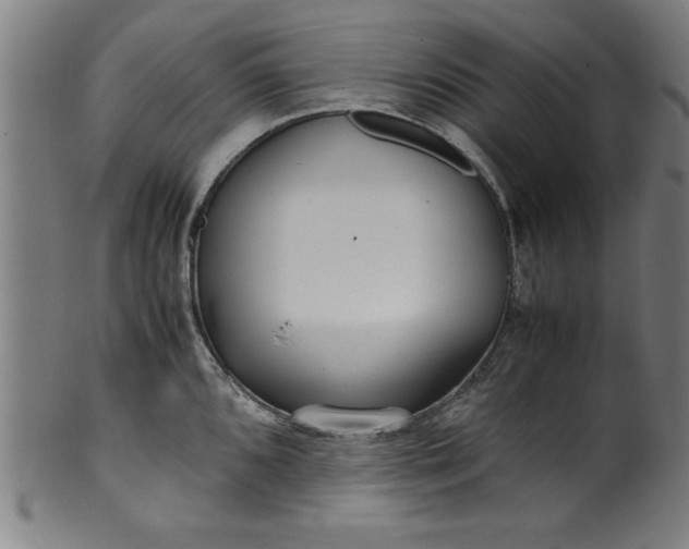 X0000099931096200806061448