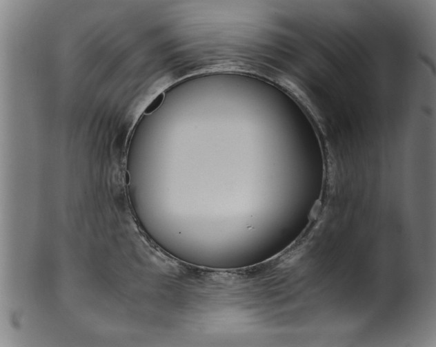 X0000099931097200806061448