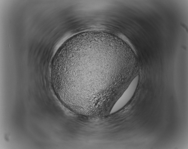 X0000099931099200806061448