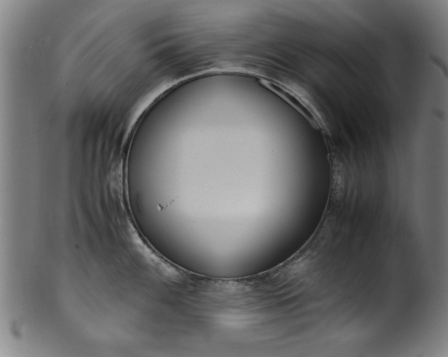 X0000099931100200806061448