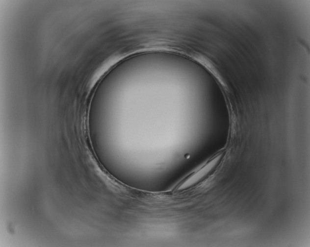 X0000099931101200806061448