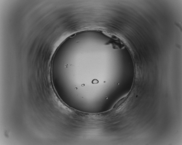 X0000099931102200806061448