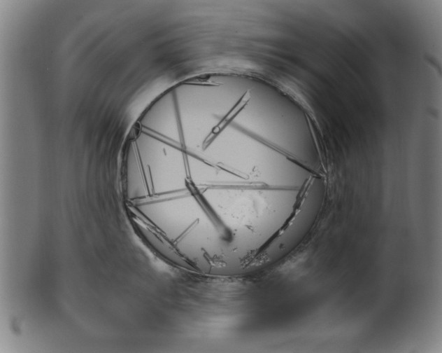 X0000099931103200806061448