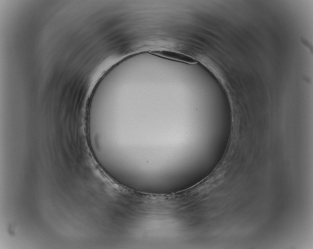 X0000099931104200806061448