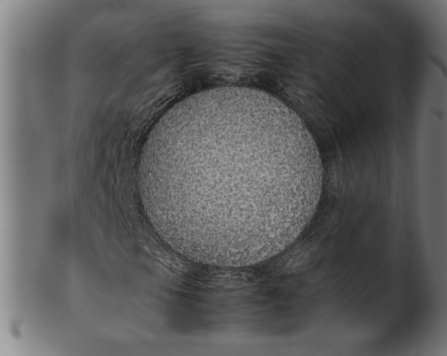 X0000099931105200806061447