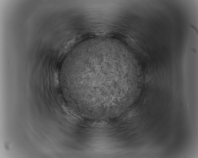 X0000099931106200806061447