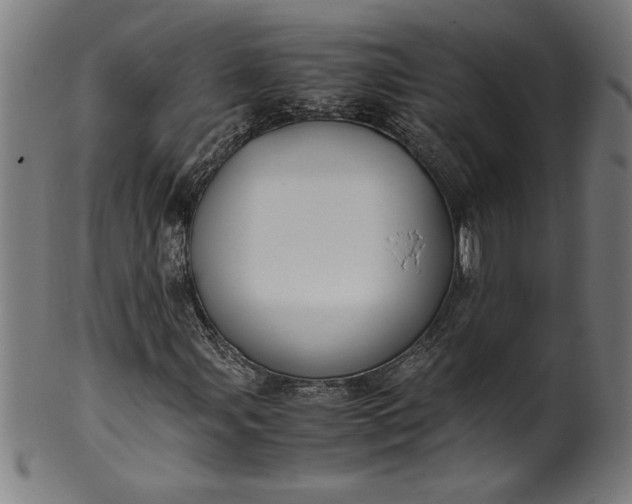 X0000099931107200806061447