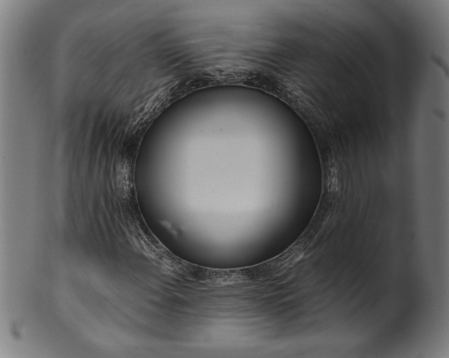 X0000099931108200806061447