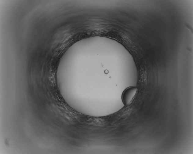 X0000099931109200806061447