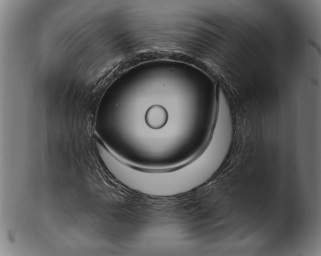 X0000099931110200806061447