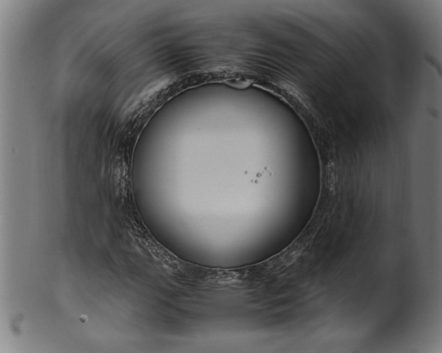 X0000099931111200806061447