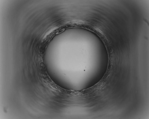 X0000099931112200806061447