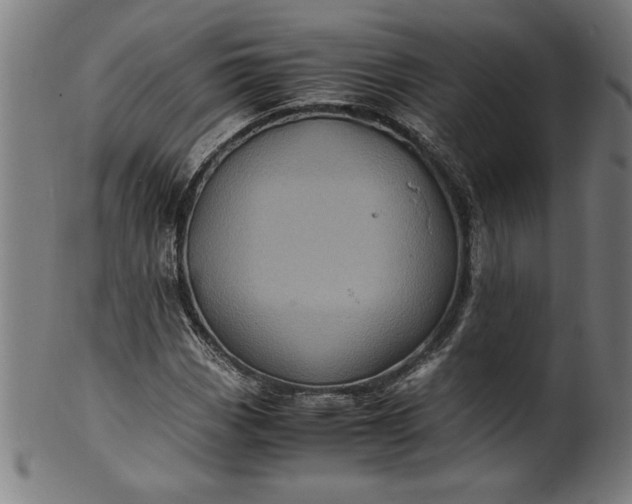 X0000099931113200806061447