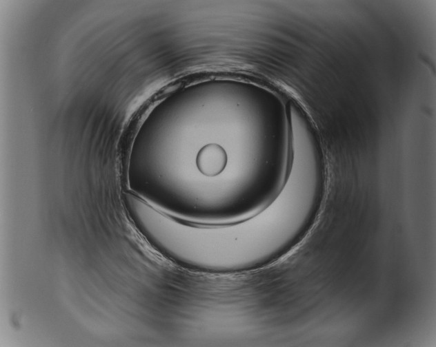 X0000099931114200806061447