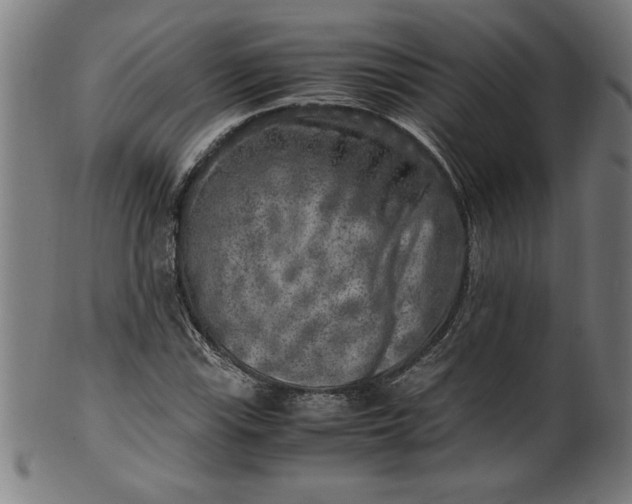 X0000099931115200806061447