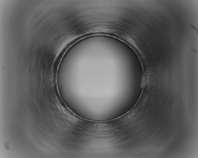 X0000099931116200806061447