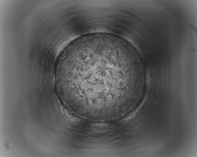 X0000099931117200806061447