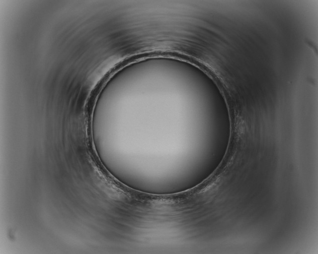 X0000099931118200806061447