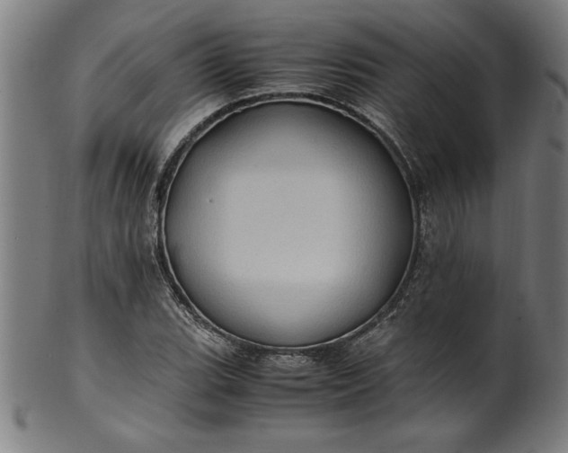 X0000099931119200806061447