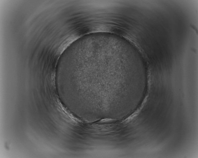 X0000099931121200806061448