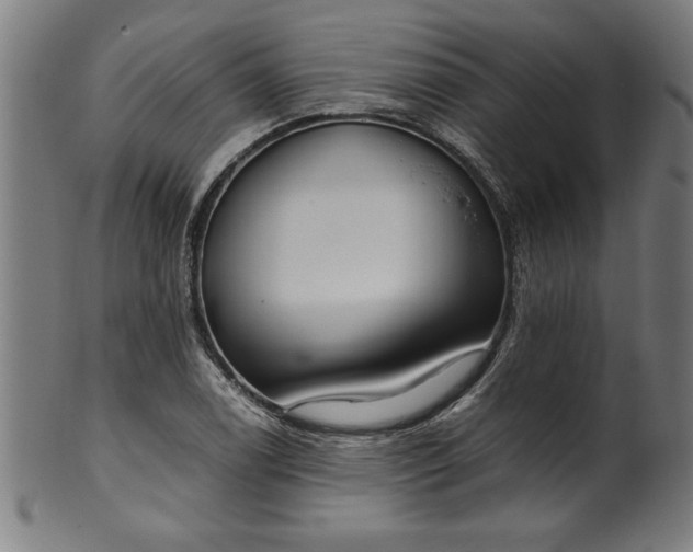 X0000099931122200806061448