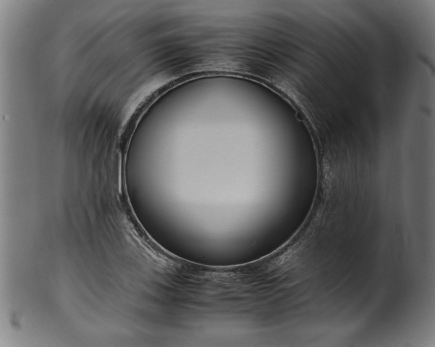 X0000099931123200806061448