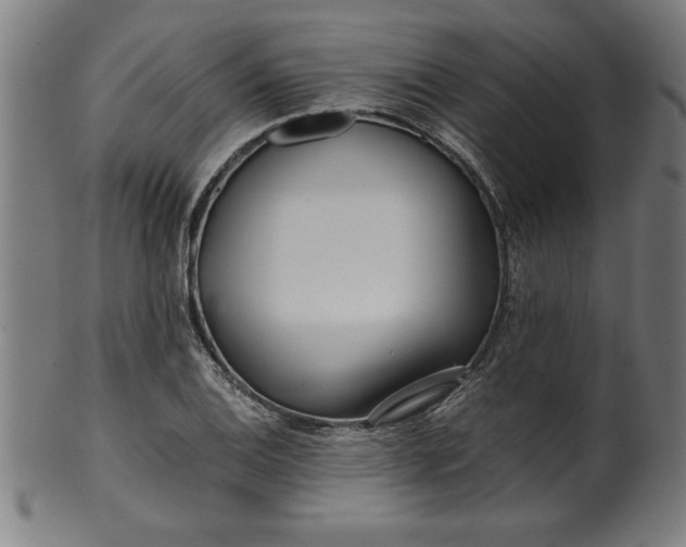 X0000099931124200806061448