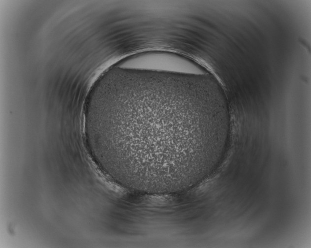 X0000099931125200806061448