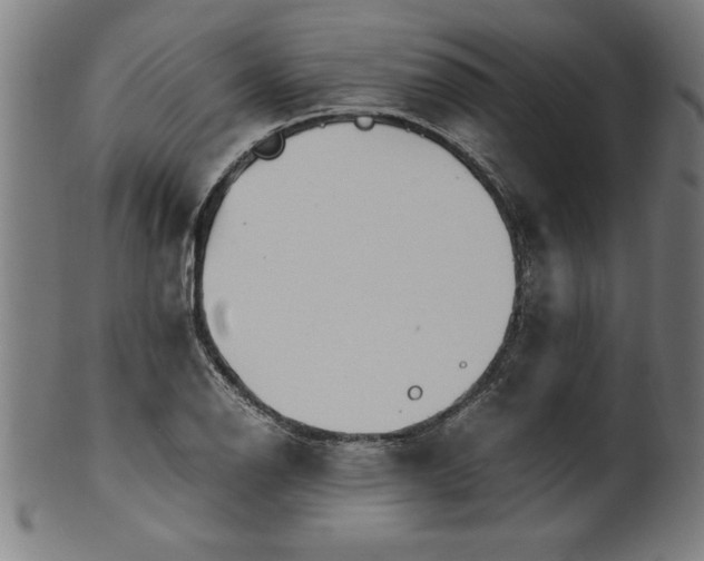 X0000099931126200806061448