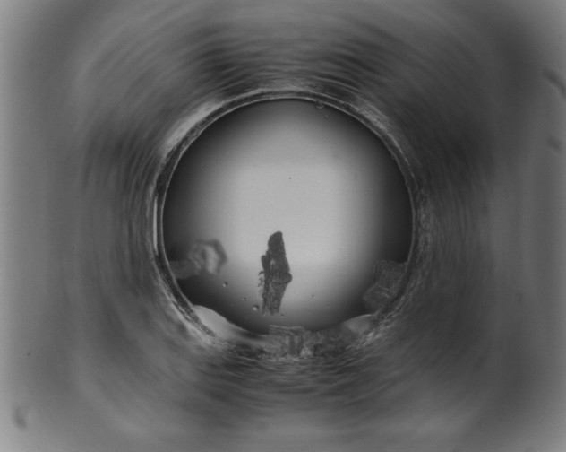 X0000099931127200806061448