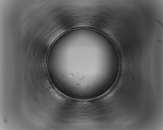 X0000099931129200806061448