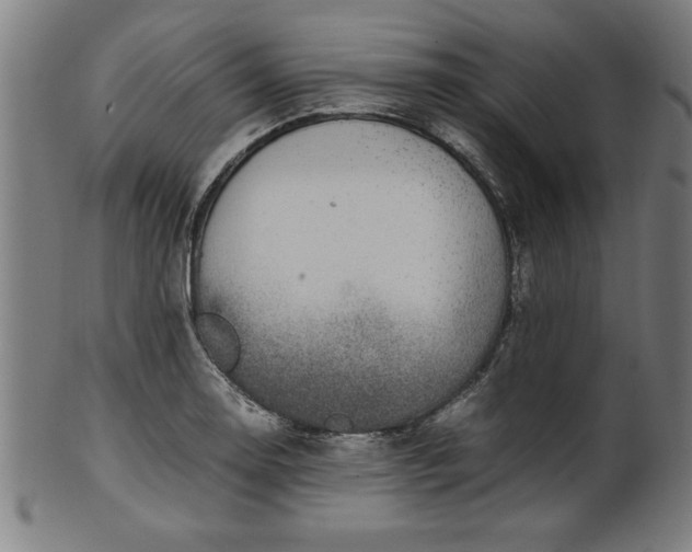 X0000099931130200806061448