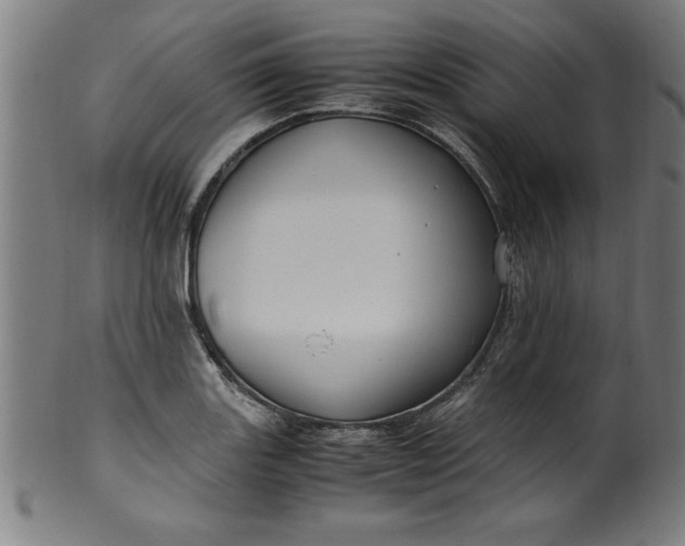 X0000099931131200806061448