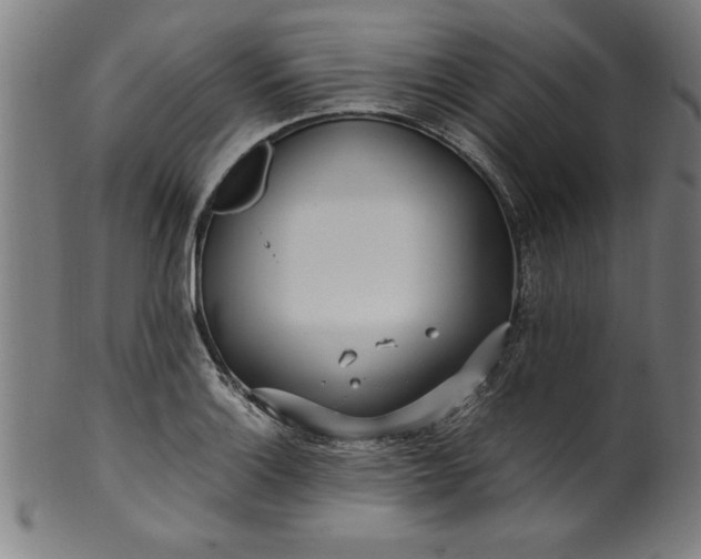 X0000099931132200806061448