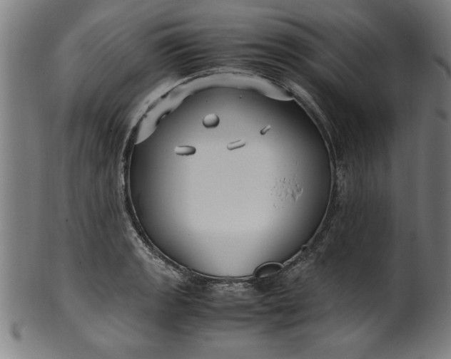 X0000099931133200806061448