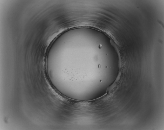 X0000099931134200806061448