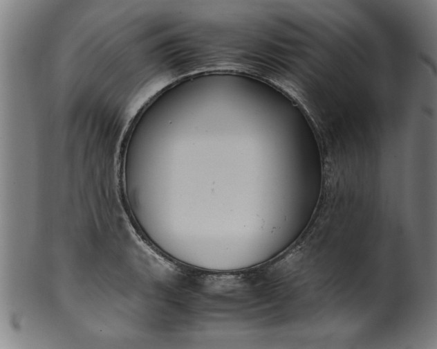 X0000099931135200806061448