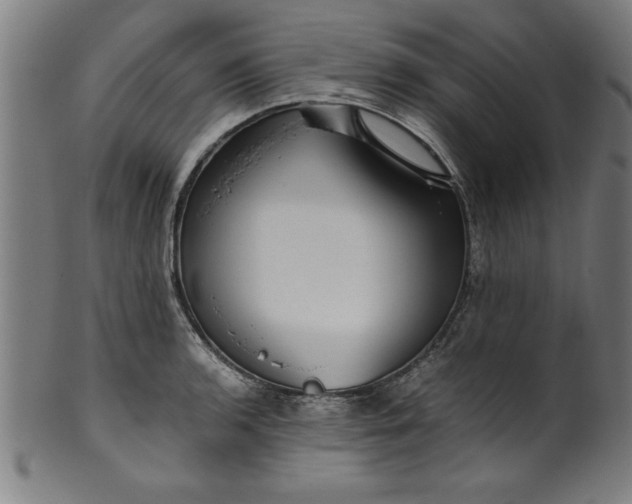 X0000099931136200806061448