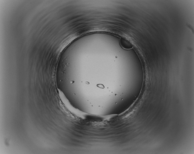 X0000099931137200806061448