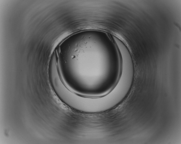 X0000099931138200806061448