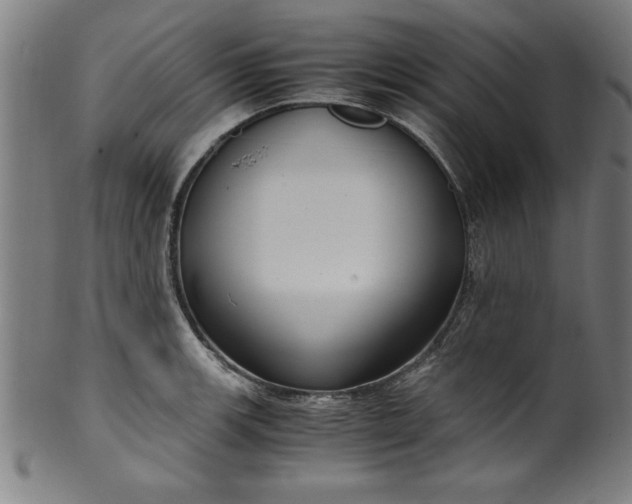 X0000099931139200806061448