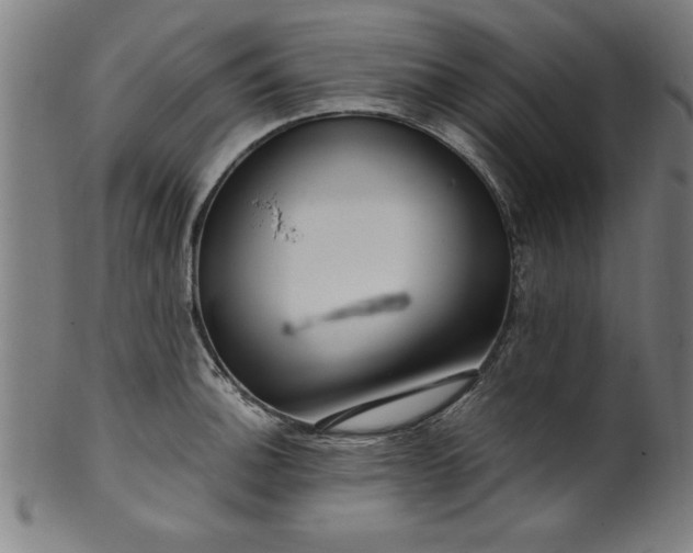 X0000099931140200806061448